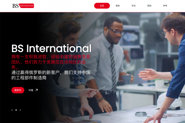 BS International China